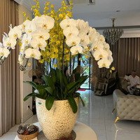 Bán Biệt Thự Lakeview City, 36 Tỷ Vnd, 176 M2