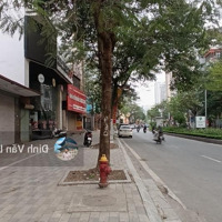 Thông Số Vip: 300M2,Mặt Tiền10M, Mặt Phố Qh Ổn Định, Pháp Lý Chuẩn