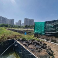 Tương Lai Góc 2 Mặt Tiền Long Thạnh Mỹ-Nguyễn Xiển Sát Vin-4138M(55X75)-Giảm Sâu 12T Còn 48T(Tl)Gap