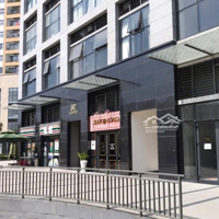 Sở Hữu Ngay Shophouse The Sun Avenue Chỉ 4,85 Tỷ Sẵn Hợp Đồng Thuê Giá Rẻ Nhất Dự Án