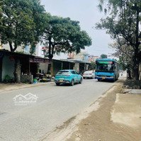 Làn 2 Tl421B Hàng Cực Hiếm Tuyệt Phẩm Cho Nđt