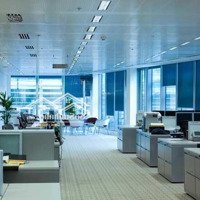 Cho Thuê Tòa Nhà Mặt Phố Lê Đại Hành - Hai Bà Trưng: Diện Tích 219M2X9Tmặt Tiền10M, Có Hầm