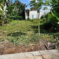 Đất Bán Shr Đường Châu Văn Liêm,Tt. Hậu Nghĩa, Đức Hòa, Long An 535 Triệu/146M2 Gần Công Viên Võ Tấn Đồ