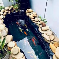  BÁN NHÀ 2 TẦNG KQH BÀU VÁ P. TRƯỜNG AN TP. HUẾ GẦN ĐƯỜNG ĐIỆN BIÊN PHỦ.