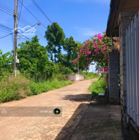 Bán Đất Vườn Gần Thống Nhất Giá Tốt Chỉ 690 Triệu/1000M Sổ Hồng Riêng Ngân Hàng Hỗ Trợ
