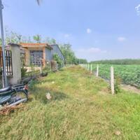 556m2 có 100m2 đất ở đô thị, 2 mặt tiền. 790tr