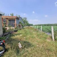556m2 có 100m2 đất ở đô thị, 2 mặt tiền. 790tr