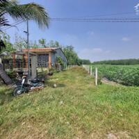 556m2 có 100m2 đất ở đô thị, 2 mặt tiền. 790tr