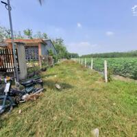 556m2 có 100m2 đất ở đô thị, 2 mặt tiền. 790tr