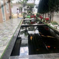 Nhà Mặt Tiền Nguyễn Khuyến Phường 2 8X50M (220M2 Thổ Cư)