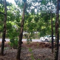 Chính Chủ Cần Bán Đất Diện Tích Hơn 1.500M2