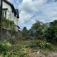 Bán Đất Gần 200M2 Sẵn Thổ Cư Hẻm Bùi Thị Xuân_ Tp Bảo Lộc