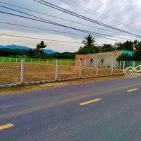 Bán Đất 2842M2 Giá Cực Tốt Tại Xã Diên Xuân, Diên Khánh, Khánh Hòa