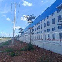 Cần Sang Gấp 250M2 Tc, Mặt Tiền Đường Bê Tông 19M Gần Kcn Tân Tiến 1, 2 Giá 175 Triệu