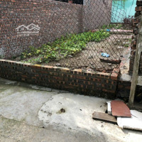 Chính Chủ Cần Bán Nhanh 60,7M2 Thổ Cư Đông Hội, Sát Cầu Tứ Liên, Vin Cổ Loa Đầu Tư Sinh Lời Tốt