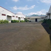 Cho Thuê Xưởng 6.300M2, 2Mặt Tiềnđường, Trong Khuôn Viên 12.000M2 Tại Kcn Trảng Bàng, Tây Ninh