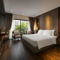 Siêu Phẩm Mp Trần Thái Tông 136M X 7 Tầng Thang Máy ,Mặt Tiền8.2M , Vỉa Hè Ô Tô Tránh Vòng Quanh 69 Tỷ