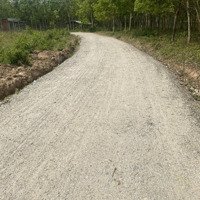 Bán Đất Tại Xã Long Nguyên, Bàu Bàng, Bình Dương, 1,45 Tỷ, 1000M2,Làm Xưởng Xây Trọ Rất Hợp Lý