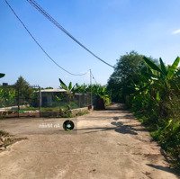 Chốt Ngay Nền Đất Vườn 1000M Sẵn Nhà Nhỏ & Cây Ăn Trái Long Khánh Chỉ 869 Triệu