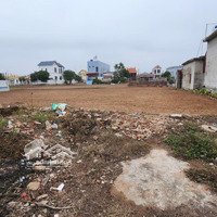 Bán Nhanh Lô Đất Quất Lâm 805M (5 Lô) Giá Rẻ Như Cho