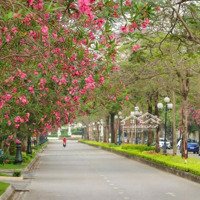 Khu Đô Thị Ciputra Ra Mắt Phân Khu Mới - Gia22 By Kita