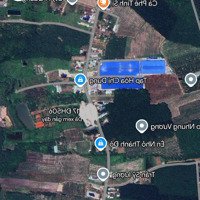 Bán 15000M2 Kho, Nhà Xưởng Xã Phước Sang, Phú Giáo, Bình Dương,Giá: 1,8 Triệu / M2, Liên Hệ: 0938888299