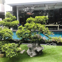 Bán Biệt Thự 1100M2 Khu Compound Vip Phú Nhuận Thảo Điền Hồ Bơi Sân Vườn Chỉ 165 Tỷcó Thương Lượngquận 2