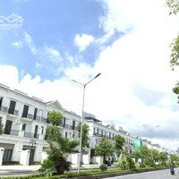 Bán Nhanh 19 Tỷ Shophouse 100M2 Hải Âu 02 Đông Nam Đường 30M Kinh Doanh Vinhomes Ocean Park Gia Lâm