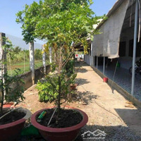 Bán Đất Mặt Tiền Đường Nhựa Nguyễn Kim Công, Phường 4, Tp Tân An -Diện Tích4X32M, Giá Bán 1.25 Tỷ