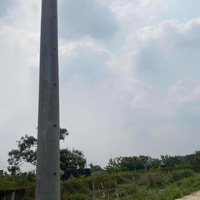 Kẹt Tiền Bán Gấp Đất 148M2 Shr Hẻm Xe Hơi Vuông Vứt Ko Mồ Mã 4.6X32 9 Chủ Có Hh Cho Ace Môi Giới