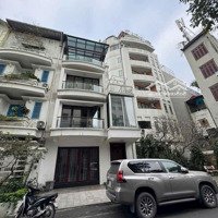 Mình Cần Bán Căn Nhà Biệt Thự Phố Hoàng Hoa Thám . Quận Ba Đình Hà Nội