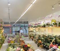 Cho Thuê Nhà Mặt Phố Đoàn Trần Nghiệp, Vị Trí Đắc Địa, Thuận Tiện Kinh Doanh: 88M2X4Tầng,Mặt Tiền6.8M