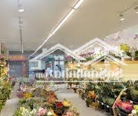 Cho Thuê Nhà Mặt Phố Đoàn Trần Nghiệp, Vị Trí Đắc Địa, Thuận Tiện Kinh Doanh: 88M2X4Tầng,Mặt Tiền6.8M