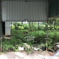 Bán Kho, Nhà Xưởng Tại Đồng Nhân, Hoài Đức, Hà Nội, 10 Triệu Vnd, 490 M2