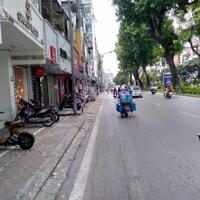 Bán gấp mảnh đất mặt phố Kim Mã, 210m2 MT 8m sổ 1 chủ giá cực tốt