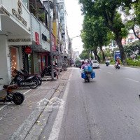 Bán Gấp Mảnh Đất Mặt Phố Kim Mã, 210M2Mặt Tiền8M Sổ 1 Chủ Giá Cực Tốt