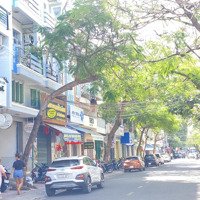 Bán Nhà Siêu Phẩm Mặt Tiền Đường Bạch Đằng Ngang 7M, Phường Tân Lập, Nha Trang