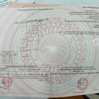 Đất Ở Ven Sông Tại Xã An Thới Đông Huyện Cần Giờ Chỉ 8 Triệu/M2