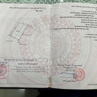 Lô Góc Đường Trung Nghĩa ,Hợp Đức ,Đồ Sơn Thích Hợp Phân Lô Hay Làm Nhà Vina