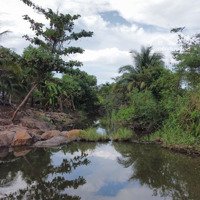 Chính Chủ Bán Lô Đất Bám Suối, Nước Quanh Năm, Có Nhà Cấp 4, Đường Oto, 2647M2, 490 Triệu Bao Sang Tên