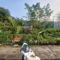 Mảnh Đất Sát Đường Tây Thăng Long, 80M Mặt Tiền 5,6M Vuông Đẹp, Khu Vực Phát Triển Rực Rỡ Năm 2025
