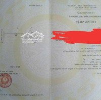 Đất Mặt Tiền Đường Tỉnh Lộ 4 Gần Cây Xăng Hương Vinh