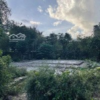 Bán 1526M2 Đất Mặt Tiền View Sông Hương Vị Trí Đẹp