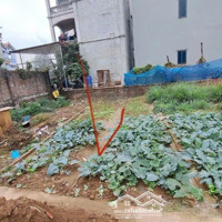 Bán Đất Rẻ Nhất Thị Trường Lệ Chi, Gia Lâm, Hà Nội, 1,85 Tỷ, 40 M2, Không Có Mảnh Thứ 2