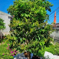 Bán Đất Nền Tại Xã Tịnh Ấn Tây