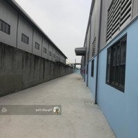 Cho Thuê Kho Xưởng Khu Công Nghiệp Thái Hòa, Đức Lập Hạ, Long Andiện Tích1.500M2 Xe Container 24/24
