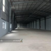 Cho Thuê Kho Xưởng Khu Công Nghiệp Thái Hòa, Đức Lập Hạ, Long Andiện Tích1.500M2 Xe Container 24/24