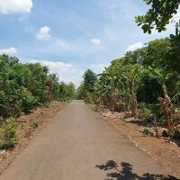 Hẽm cấp 1 QL14 Hòa Phú- BMT Đường nhựa rộng 10m, cách KCN Hòa phú 500m, chợ 300m DT: 6x23m. TC60m2.  Giá chỉ 485tr