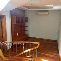 Chính Chủ Bán Nhanhhẽm Xe Hơiphạm Văn Hai Đoạn Đẹp. Dt: 15X20M, Dtcn: 270M2. Hạ Giá Còn 31 Tỷ