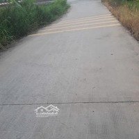 1900M2 Thổ Cư+ 2700M2 Lúa Tại Cần Giuộc, Long An